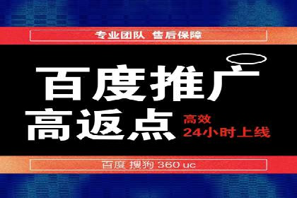 某某SEM服务公司成功案例：从数据出发的营销策略